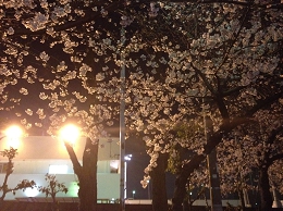 コラージュ
